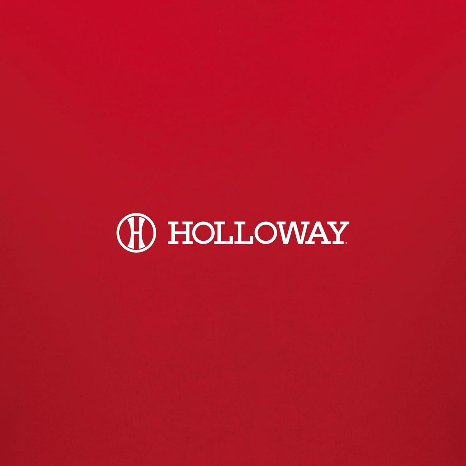 imageHolloway Boys Jackson Way HoodieScarletWhite