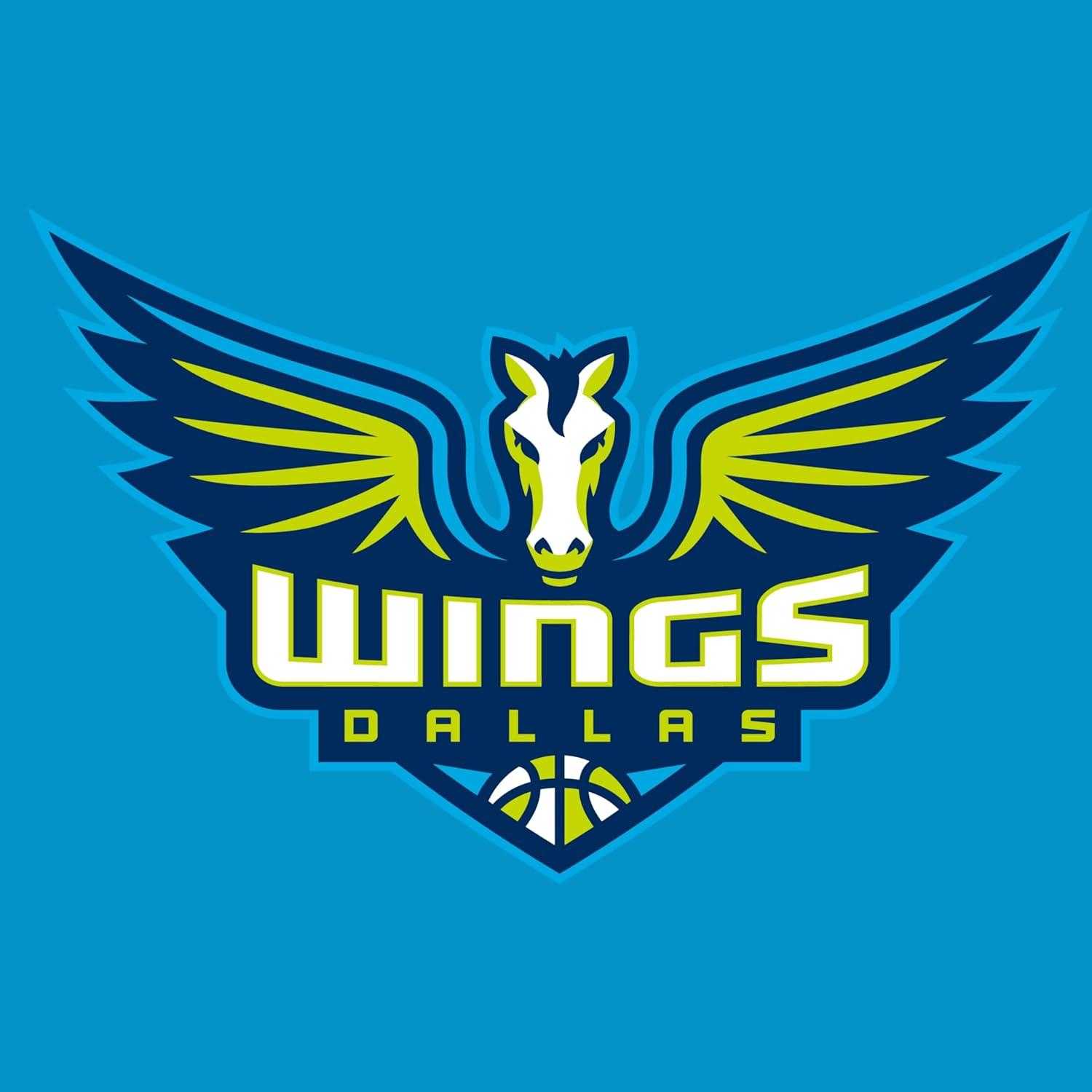 imageHolloway WNBA Mens AllPro Tee Lightweight Basketball Shirt Perfect for Athletes ampamp Sports FanMulti