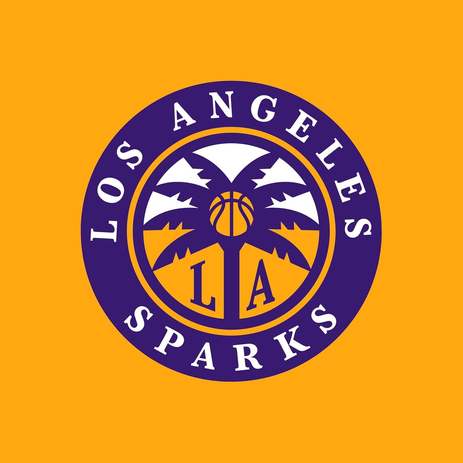 imageHolloway WNBA Mens AllPro Tee Lightweight Basketball Shirt Perfect for Athletes ampamp Sports FanMulti