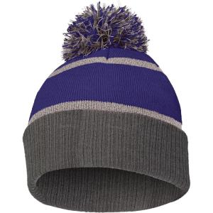 Holloway Reflective Beanie(Purple/Carbon)