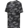 Black Glacier Print
