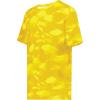 Gold Glacier Print