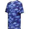 Navy Glacier Print