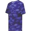Purple Glacier Print